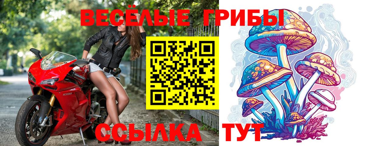 Галлюциногенные грибы ЛСД Асбест